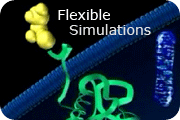 Flexible Simulations